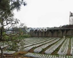 Kavling Tanah untuk Dijual di Lembang, Bandung, Luas 500m2 Kavling Tanah untuk Dijual di Lembang, Bandung, Luas 500m2