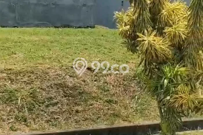 Lahan untuk Dijual Lokasi Katapang, Bandung Luas 4900m2 SHM Lahan untuk Dijual Lokasi Katapang, Bandung Luas 4900m2 SHM