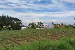 Tanah Kavling Dijual di Setiabudi, Bandung dengan Luas Tanah 674m2 Tanah Kavling Dijual di Setiabudi, Bandung dengan Luas Tanah 674m2
