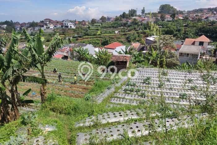 Dijual Tanah Lokasi Setiabudi, Bandung Seluas 1980m2 Dijual Tanah Lokasi Setiabudi, Bandung Seluas 1980m2