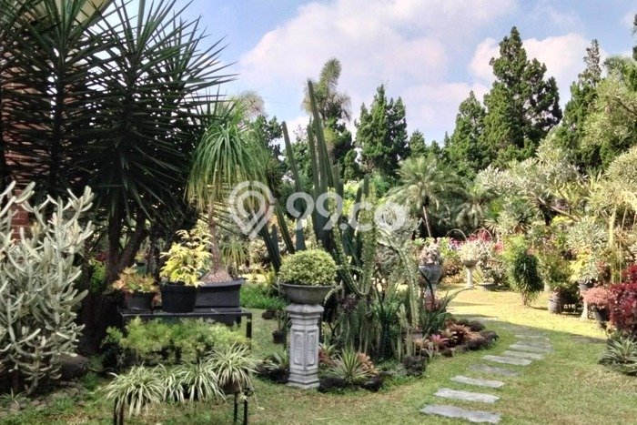 Dijual Rumah Luas Elegan Dengan View Eksklusif di Sayap Dago, Bandung Dijual Rumah Luas Elegan Dengan View Eksklusif di Sayap Dago, Bandung
