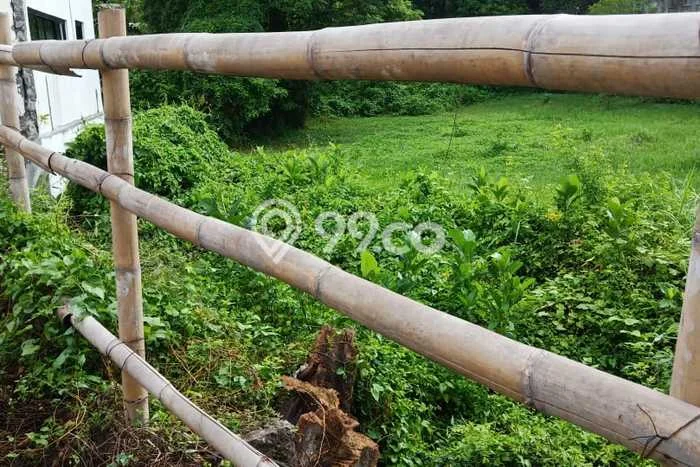 Tanah Kavling Dijual di Umalas, Badung dengan Luas Tanah 135m2 Tanah Kavling Dijual di Umalas, Badung dengan Luas Tanah 135m2