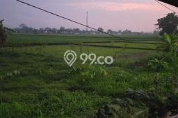 Lahan untuk Dijual Lokasi Prambanan, Klaten Luas 698m2 SHM Lahan untuk Dijual Lokasi Prambanan, Klaten Luas 698m2 SHM