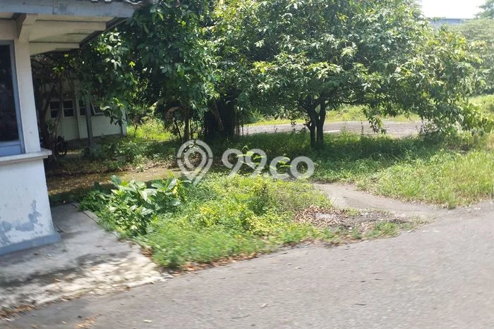 Kavling Tanah untuk Disewa di Condong Catur Lahan Luas 3250m2 Kavling Tanah untuk Disewa di Condong Catur Lahan Luas 3250m2