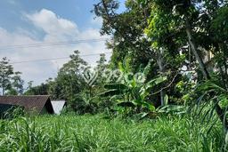 Tanah Kavling Dijual di Kopeng, Salatiga dengan Luas Tanah 12000m2 Tanah Kavling Dijual di Kopeng, Salatiga dengan Luas Tanah 12000m2
