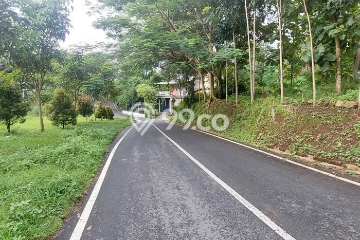 Tanah Kavling untuk Disewa di Argomulyo Salatiga 541m2 Tanah Kavling untuk Disewa di Argomulyo Salatiga 541m2