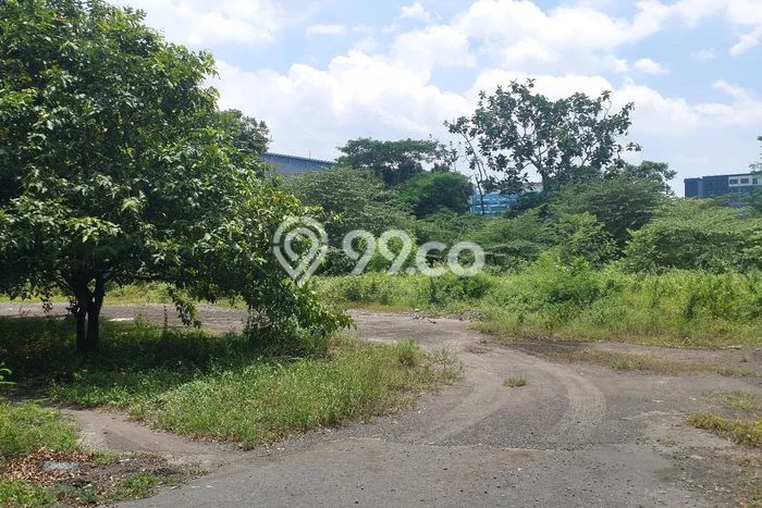 Kavling Tanah untuk Disewa di Condong Catur Lahan Luas 3250m2 Kavling Tanah untuk Disewa di Condong Catur Lahan Luas 3250m2