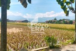 For Sale Tanah Kawasan Majalaya, Luas 7000m2m², Lokasi Potensial For Sale Tanah Kawasan Majalaya, Luas 7000m2m², Lokasi Potensial