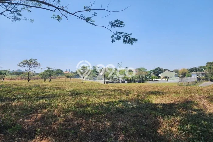Tanah Disewa di Lidah Kulon Strategis dan Memiliki Luas 375m2 Tanah Disewa di Lidah Kulon Strategis dan Memiliki Luas 375m2