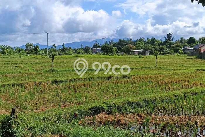 Jarang Ada! Tanah di Narmada Punya Luas 9735m2 SHM Jarang Ada! Tanah di Narmada Punya Luas 9735m2 SHM
