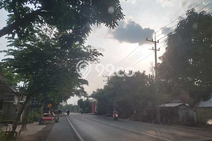 Lahan untuk Dijual di Rembang Pasuruan Luas 30000m2 Lahan untuk Dijual di Rembang Pasuruan Luas 30000m2