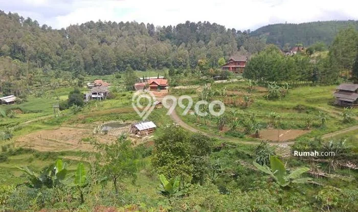 Jarang Ada! Tanah di Ciwidey Punya Luas 5738m2 SHM Jarang Ada! Tanah di Ciwidey Punya Luas 5738m2 SHM