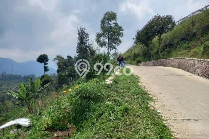 Jarang Ada! Tanah di Ciwidey Punya Luas 5738m2 SHM Jarang Ada! Tanah di Ciwidey Punya Luas 5738m2 SHM