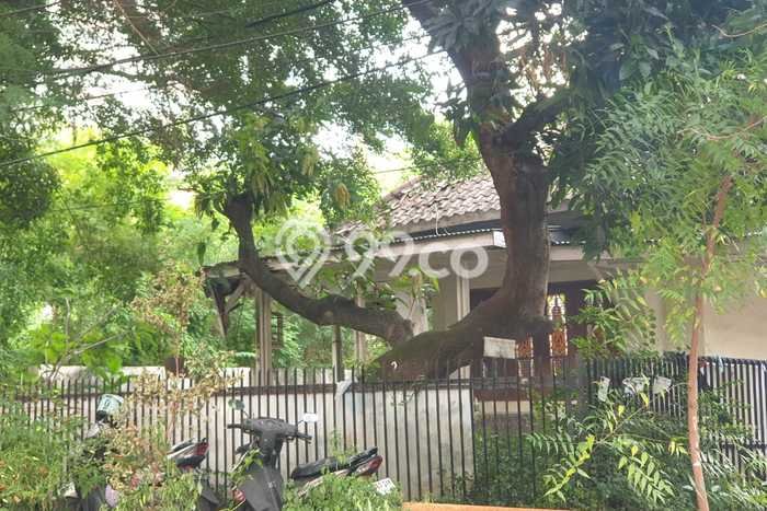For Sale Rumah Mewah Exclusive di Menteng, Jakarta Pusat For Sale Rumah Mewah Exclusive di Menteng, Jakarta Pusat