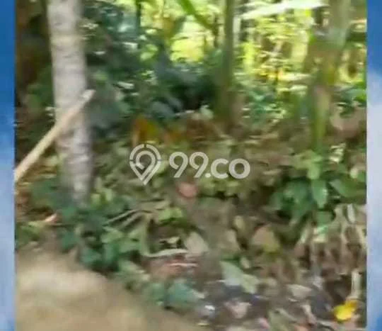 Kavling Tanah Dijual di Caringin Bogor Spesifikasi 3000m2 Kavling Tanah Dijual di Caringin Bogor Spesifikasi 3000m2