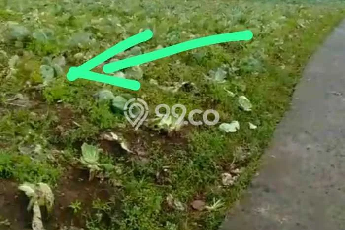 Tanah Kavling Dijual di Bogor dengan Spesifikasi 1200m2 Tanah Kavling Dijual di Bogor dengan Spesifikasi 1200m2
