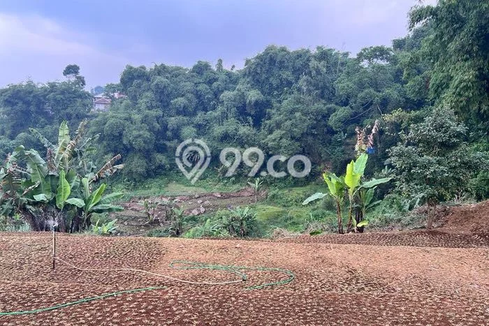 Vila di Cipanas, Dimensi 13000m2m², Cocok untuk hunian keluarga Vila di Cipanas, Dimensi 13000m2m², Cocok untuk hunian keluarga
