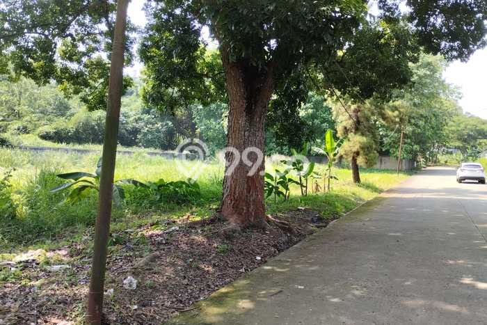 Tanah Dijual Lokasi Serpong, Tangerang Selatan dengan Luas Tanah 7056m2 dan Status - Tanah Dijual Lokasi Serpong, Tangerang Selatan dengan Luas Tanah 7056m2 dan Status -