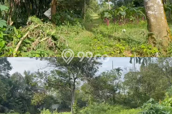 Dijual Tanah Lokasi Tanah Sareal, Bogor Seluas 110000m2 Dijual Tanah Lokasi Tanah Sareal, Bogor Seluas 110000m2