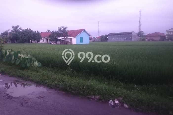 Tanah untuk Dijual Lokasi Jatiwangi, Majalengka Luas 2332m2 SHM Tanah untuk Dijual Lokasi Jatiwangi, Majalengka Luas 2332m2 SHM