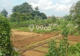 Tanah Dijual di Bogor Seluas 10060m2 Strategis Tanah Dijual di Bogor Seluas 10060m2 Strategis