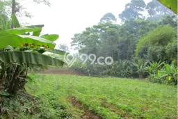 Dijual Tanah Lokasi Bojong Kerta, Bogor Seluas 168m2 Dijual Tanah Lokasi Bojong Kerta, Bogor Seluas 168m2