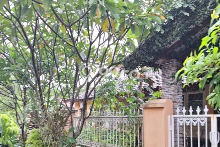 Dijual Hunian Rumah Terawat 3 KT di Ciparigi, Bogor Dijual Hunian Rumah Terawat 3 KT di Ciparigi, Bogor