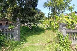 Tanah Dijual Lokasi Gerokgak Buleleng SHM Tanah Dijual Lokasi Gerokgak Buleleng SHM