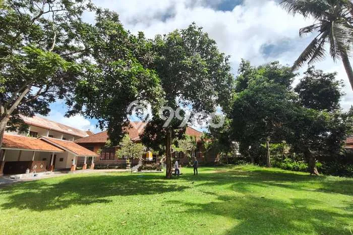 Disewakan segera hunian minimalis strategis 2 Kamar di Ubud, Gianyar Disewakan segera hunian minimalis strategis 2 Kamar di Ubud, Gianyar