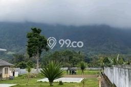 Dijual Tanah Lokasi Bedugul, Tabanan Seluas 5000m2 Dijual Tanah Lokasi Bedugul, Tabanan Seluas 5000m2