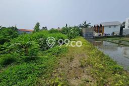 Untuk Dijual Tanah di Kerobokan Badung Luas 261m2 SHM Untuk Dijual Tanah di Kerobokan Badung Luas 261m2 SHM