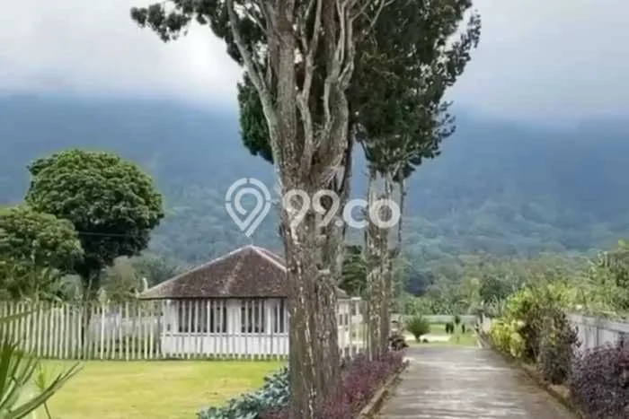Dijual Tanah Lokasi Bedugul, Tabanan Seluas 5000m2 Dijual Tanah Lokasi Bedugul, Tabanan Seluas 5000m2