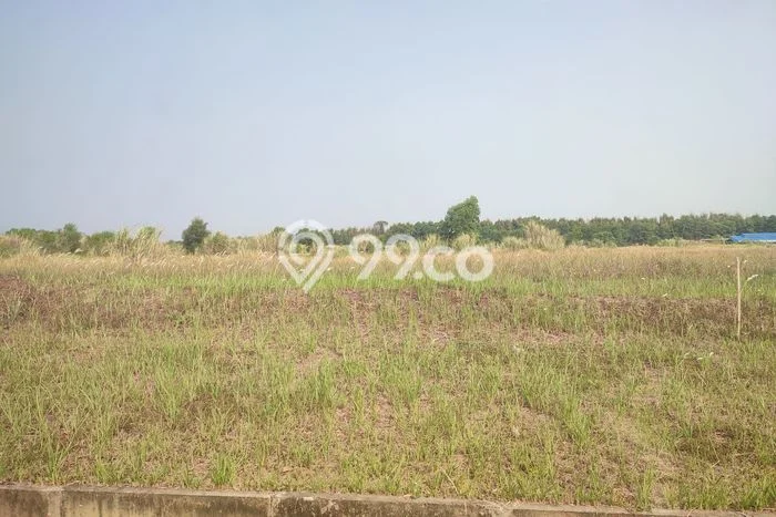 Dijual Tanah Lokasi Prima di Karawang Barat, Luas 41204m², Dekat Karawang Barat, Karawang, Karawang Dijual Tanah Lokasi Prima di Karawang Barat, Luas 41204m², Dekat Karawang Barat, Karawang, Karawang