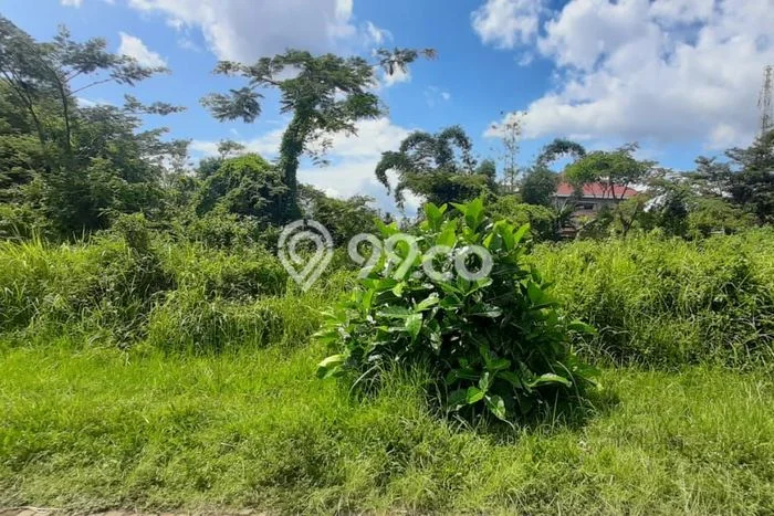 Lahan Investasi Lokasi Dau Malang SHM Lahan Investasi Lokasi Dau Malang SHM