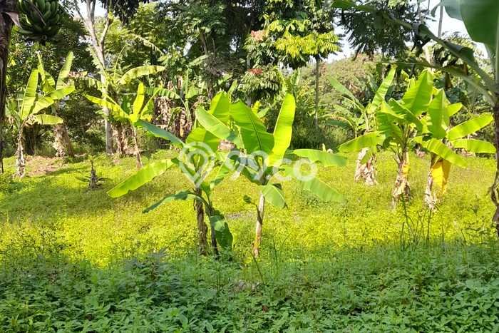 Lahan untuk Dijual Lokasi Cibeunying Kidul, Bandung Luas 5719m2 SHM Lahan untuk Dijual Lokasi Cibeunying Kidul, Bandung Luas 5719m2 SHM