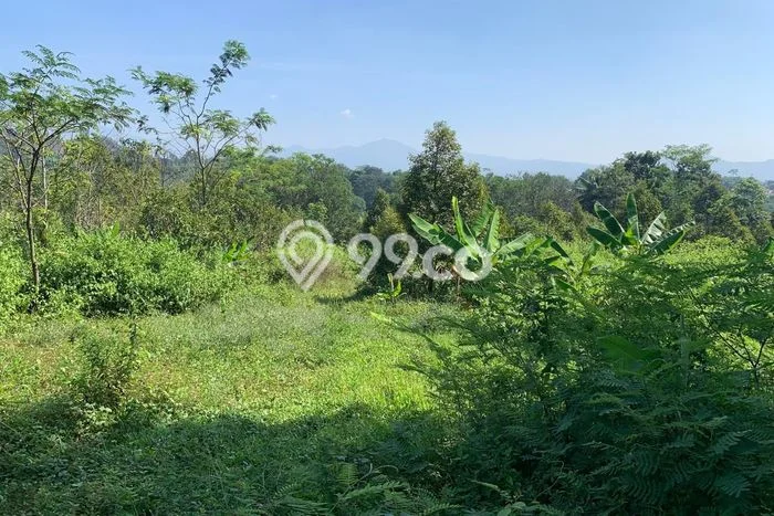 Lahan Strategis di Cibinong Dijual dengan Luas 270000m2 Lahan Strategis di Cibinong Dijual dengan Luas 270000m2