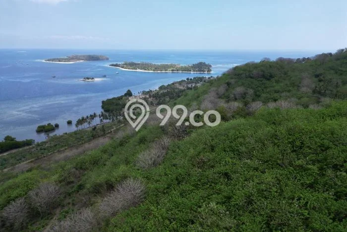 Tanah Kavling untuk Dijual di Sekotong Lombok Barat 40000m2 Tanah Kavling untuk Dijual di Sekotong Lombok Barat 40000m2