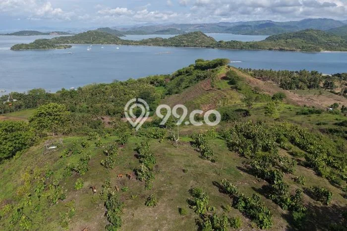 Kavling Tanah Dijual di Sekotong Lombok Barat Spesifikasi 10600m2 Kavling Tanah Dijual di Sekotong Lombok Barat Spesifikasi 10600m2