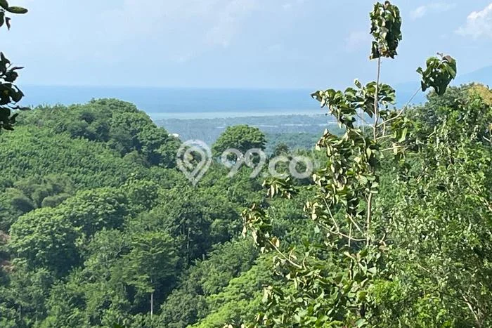 Kavling Tanah Dijual di Lembar Lombok Barat Spesifikasi 7800m2 Kavling Tanah Dijual di Lembar Lombok Barat Spesifikasi 7800m2