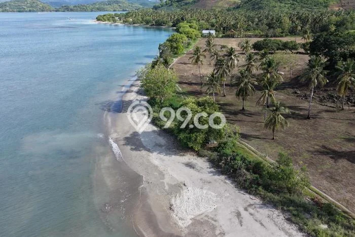 Lahan Dijual Lokasi Sekotong, Lombok Barat dengan Luas Tanah 16000m2 dan Status SHM Lahan Dijual Lokasi Sekotong, Lombok Barat dengan Luas Tanah 16000m2 dan Status SHM