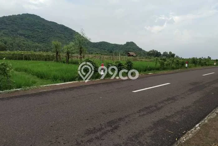 Tanah Kosong Dijual di Lombok Barat dengan Area 3637m2 Tanah Kosong Dijual di Lombok Barat dengan Area 3637m2