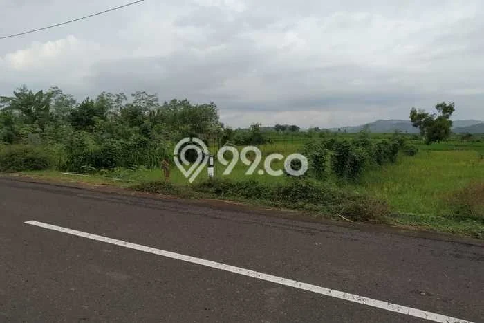 Tanah Kosong Dijual di Lombok Barat dengan Area 3637m2 Tanah Kosong Dijual di Lombok Barat dengan Area 3637m2
