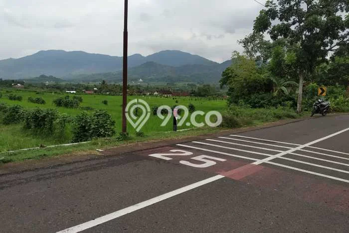 Tanah Kosong Dijual di Lombok Barat dengan Area 3637m2 Tanah Kosong Dijual di Lombok Barat dengan Area 3637m2