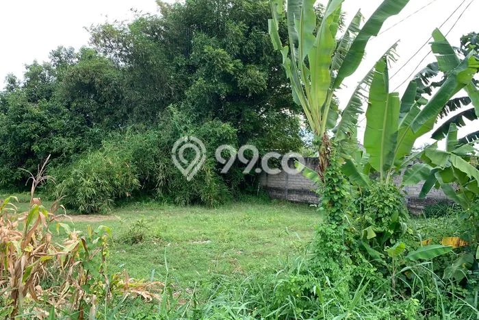 Tanah Kavling di Batu Layar Dijual dengan Luas 487m2 Tanah Kavling di Batu Layar Dijual dengan Luas 487m2