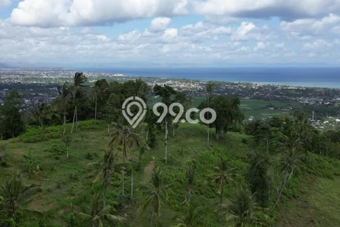 Tanah Dijual Lokasi Batu Layar, Lombok Barat Luas 1000m2 Legalitas Aman Tanah Dijual Lokasi Batu Layar, Lombok Barat Luas 1000m2 Legalitas Aman