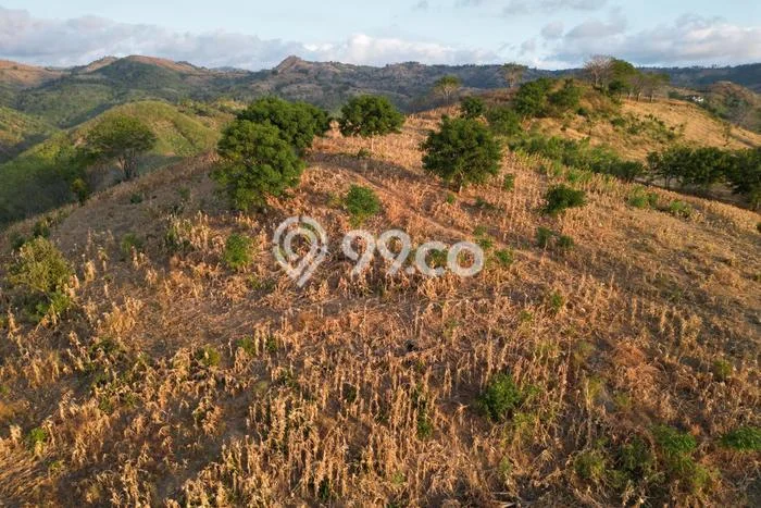 Tanah Dijual di Lombok Barat Seluas 45000m2 Strategis Tanah Dijual di Lombok Barat Seluas 45000m2 Strategis