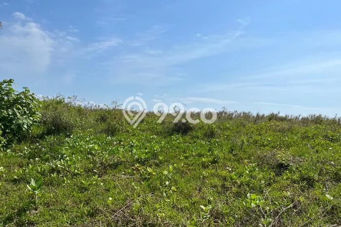 Tanah Kavling di Labu Api Dijual dengan Luas 1000m2 Tanah Kavling di Labu Api Dijual dengan Luas 1000m2