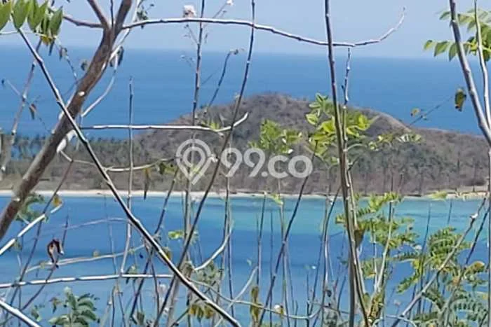Tanah Strategis Dijual di Sekotong Lombok Barat 7200m2 Tanah Strategis Dijual di Sekotong Lombok Barat 7200m2