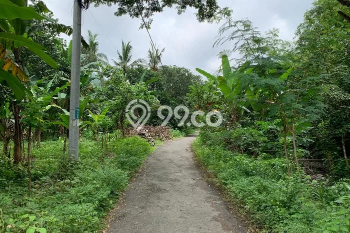 Kavling Tanah untuk Dijual di Senggigi, Lombok Barat, Luas 12737m2 Kavling Tanah untuk Dijual di Senggigi, Lombok Barat, Luas 12737m2