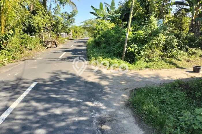 Untuk Dijual Tanah di Lingsar Lombok Barat Luas 1100m2 SHM Untuk Dijual Tanah di Lingsar Lombok Barat Luas 1100m2 SHM